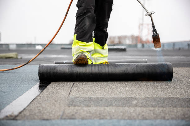 Best Roof Ventilation Installation  in South Charleston, OH
